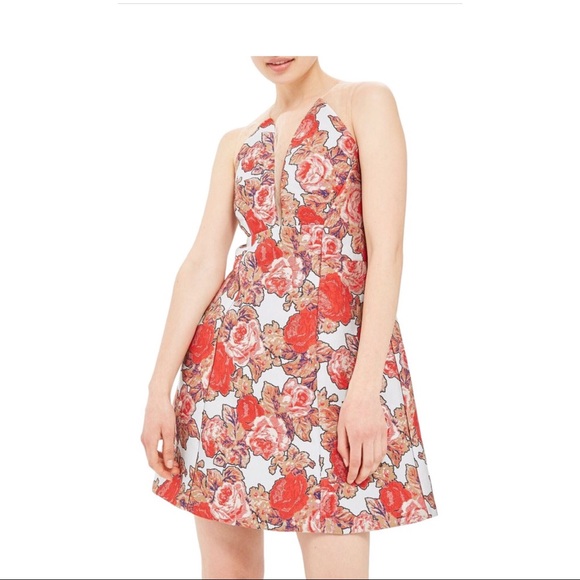 NWT Topshop Illustration Jacquard Minidress Sz 2 - Picture 5 of 5